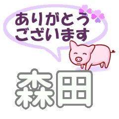 [LINEスタンプ] 森田「もりた」さん専用。日常会話