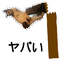 [LINEスタンプ] ブチ猫 1996