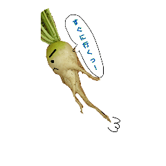 [LINEスタンプ] だいこんスタンプ