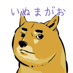 [LINEスタンプ] 犬の感情ー小型編の画像（メイン）