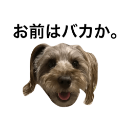 [LINEスタンプ] ルーク様とララちゃんの日常。の画像（メイン）