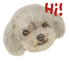 [LINEスタンプ] yiu dog dog