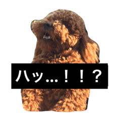 [LINEスタンプ] ReactionAnimals