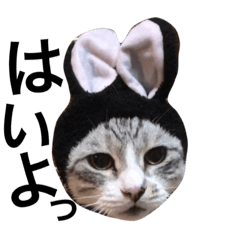 [LINEスタンプ] むさしとはる