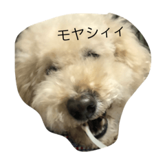 [LINEスタンプ] ここにゃん11