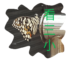 [LINEスタンプ] butterflylife