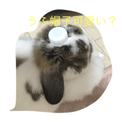 [LINEスタンプ] ウサギ物語の画像（メイン）