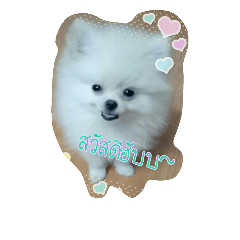 [LINEスタンプ] The dog club