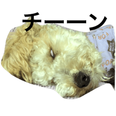 [LINEスタンプ] ポーンの一日の画像（メイン）