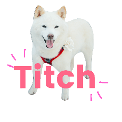 [LINEスタンプ] Titch