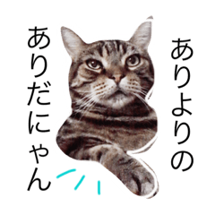 [LINEスタンプ] はじめてのにゃんちゅう