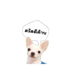 [LINEスタンプ] MAKHAM A LITTLE BIT