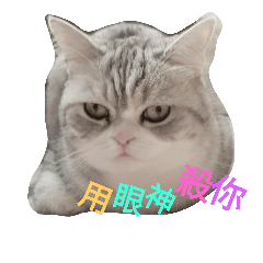 [LINEスタンプ] Hated Miao Miao