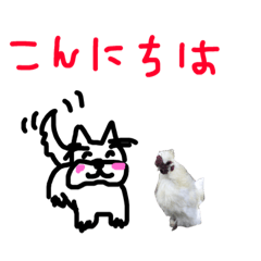 [LINEスタンプ] 龍馬おっさん   4