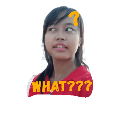 [LINEスタンプ] sujie Lian