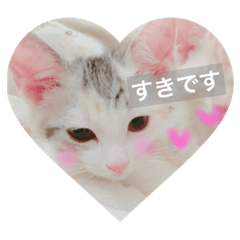 [LINEスタンプ] かわいい子猫のいくらちゃん