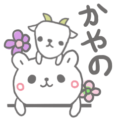 [LINEスタンプ] かやのっていう名前の画像（メイン）