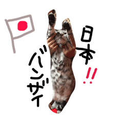 [LINEスタンプ] まみのにゃんちゅう