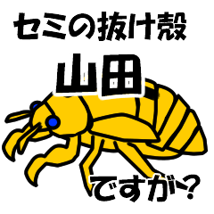 [LINEスタンプ] セミのぬけがら山田ですが？の画像（メイン）