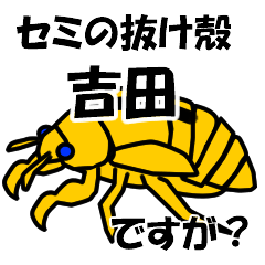 [LINEスタンプ] セミのぬけがら吉田ですが？