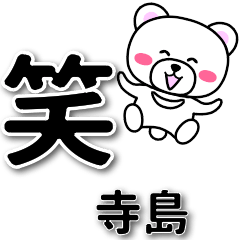 [LINEスタンプ] 寺島専用デカ文字