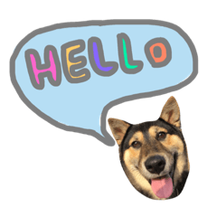 [LINEスタンプ] A stupid dog