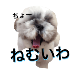 [LINEスタンプ] それゆけ！もずくくん