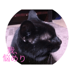 [LINEスタンプ] 黒猫チョビさんの憂鬱の画像（メイン）