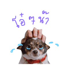 [LINEスタンプ] Hero Fat Dog