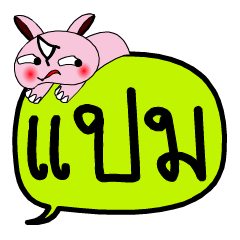 [LINEスタンプ] My name is Paem V.2