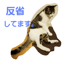 [LINEスタンプ] 可愛いももちゃん3