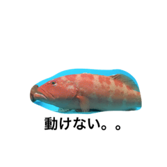 [LINEスタンプ] 食べ物気分スタンプ