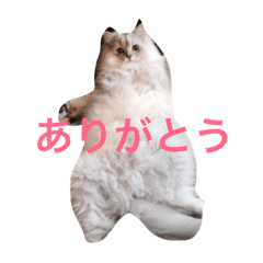 [LINEスタンプ] 森家の三兄弟