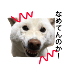 [LINEスタンプ] ななポチ