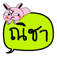 [LINEスタンプ] My name is Ni Cha V.2