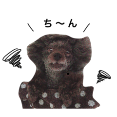 [LINEスタンプ] プティスタンプ