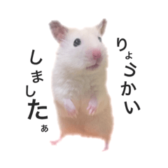 [LINEスタンプ] よねごはん3