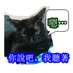 [LINEスタンプ] Black Cat's Daily