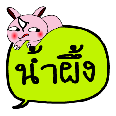 [LINEスタンプ] My name is Namphueng V.2