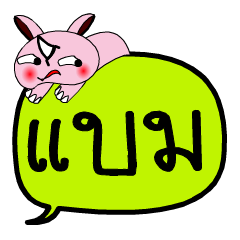 [LINEスタンプ] My name is Baem V.2