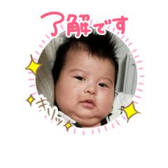 [LINEスタンプ] ひなたん*スタンプ