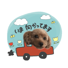 [LINEスタンプ] ろーちゃんスタンプ