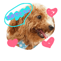 [LINEスタンプ] toypoodle RURU