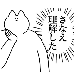 [LINEスタンプ] さなえ専用！便利な名前スタンプ2