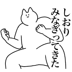 [LINEスタンプ] しおり専用！便利な名前スタンプ2