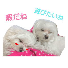 [LINEスタンプ] しらたまとすずらん