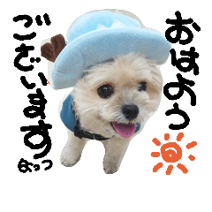 [LINEスタンプ] 愛犬ナッツ