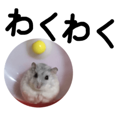 [LINEスタンプ] 可愛くて日常会話で使える挨拶一言スタンプ