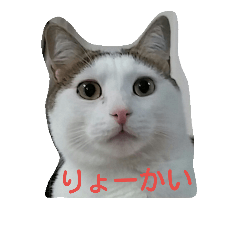 [LINEスタンプ] にゃんこのぽんた