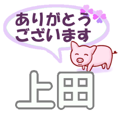 [LINEスタンプ] 上田「うえだ」さん専用。日常会話